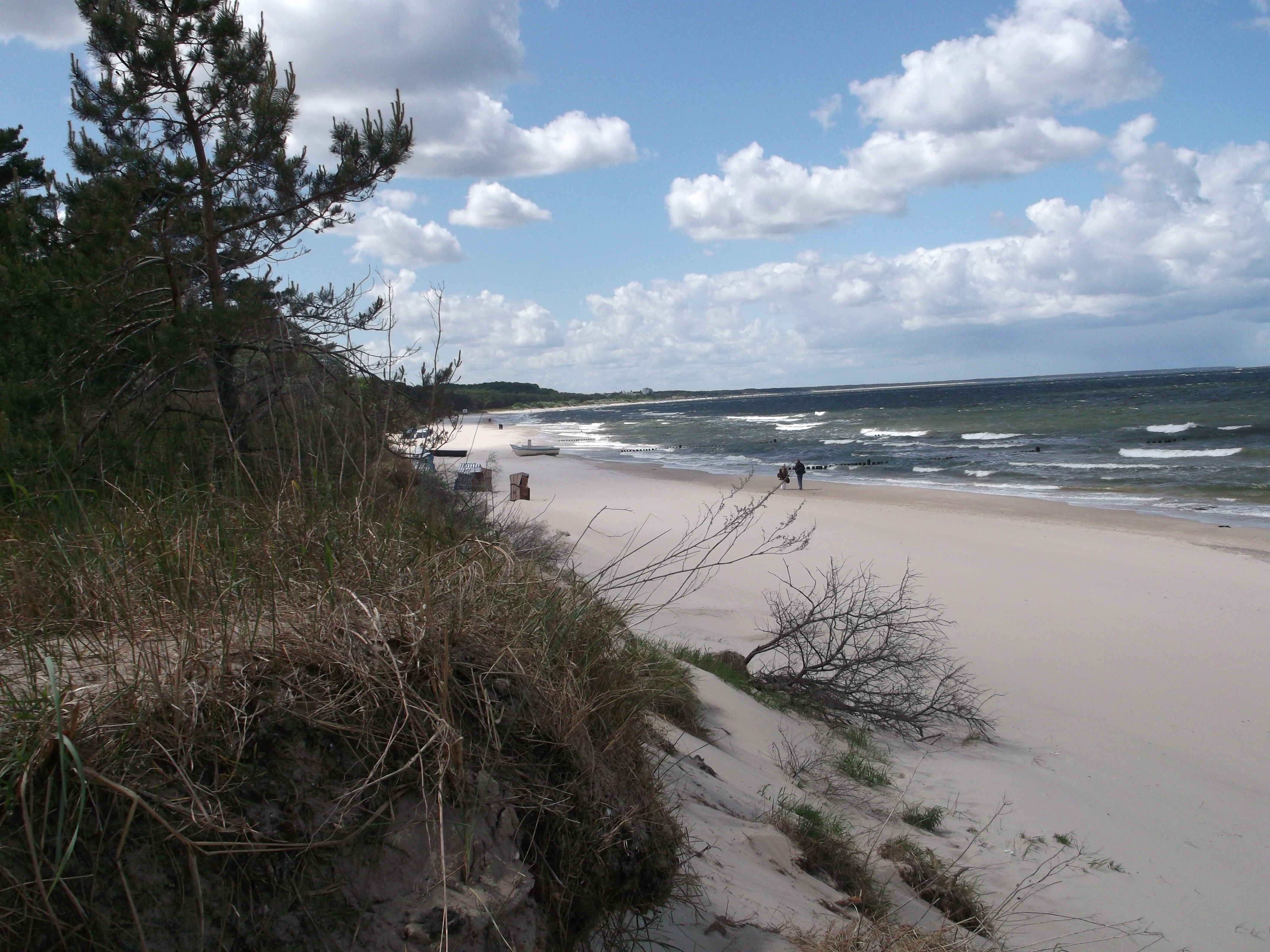 Strand  Mai 12 -  Vogelpark Juni 12  - Dacheindeckung 06.-08. 07 013